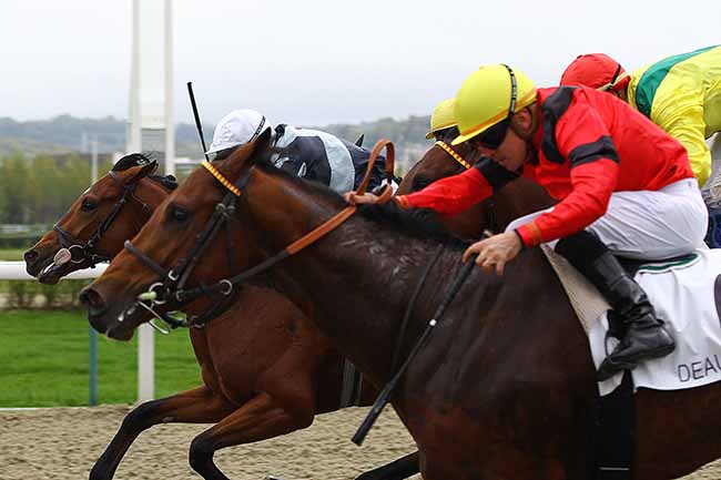 Photo d'arrivée de la course pmu PRIX ARAZI à DEAUVILLE le Jeudi 24 octobre 2019