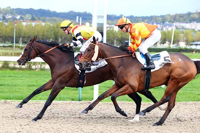 Photo d'arrivée de la course pmu PRIX DU MARAIS VERNIER à DEAUVILLE le Jeudi 24 octobre 2019
