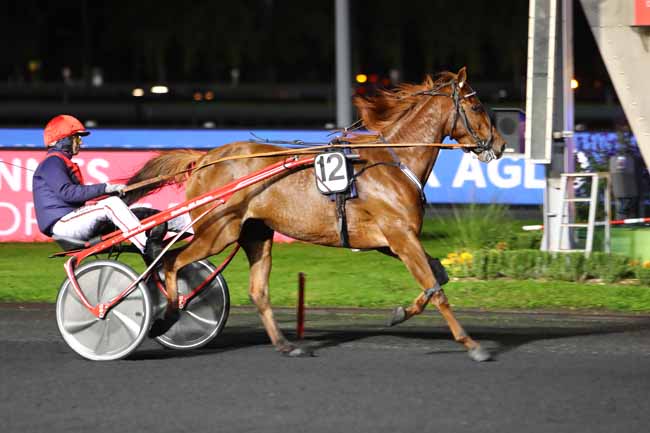 Photo d'arrivée de la course pmu PRIX DU PAYS DE GEX AGGLOMERATION à PARIS-VINCENNES le Vendredi 25 octobre 2019