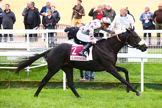 Photo d'arrivée de la course pmu PRIX 