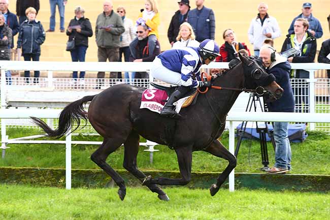 Photo d'arrivée de la course pmu PRIX DU PAYS DE FALAISE à CLAIREFONTAINE le Vendredi 25 octobre 2019