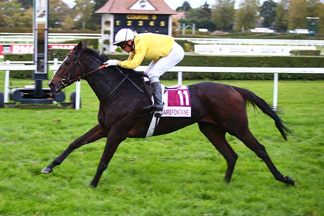 Photo d'arrivée de la course pmu PRIX DE LA PLAINE DE CAEN à CLAIREFONTAINE le Vendredi 25 octobre 2019
