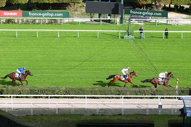 Photo d'arrivée de la course pmu PRIX BELLE DE NUIT à SAINT-CLOUD le Samedi 26 octobre 2019