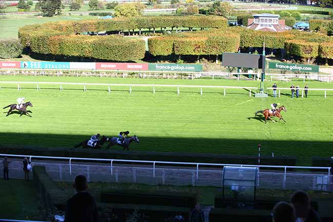 Photo d'arrivée de la course pmu PRIX DU VAL D'OISE à SAINT-CLOUD le Samedi 26 octobre 2019