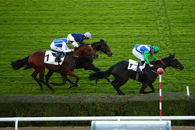 Photo d'arrivée de la course pmu PRIX PERTH à SAINT-CLOUD le Samedi 26 octobre 2019