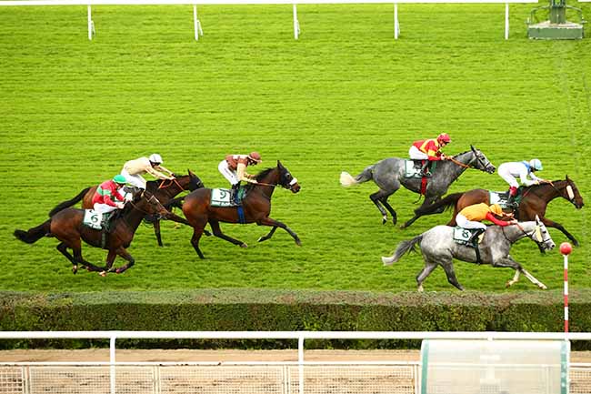 Photo d'arrivée de la course pmu FINALE DU GALOP TOUR INTER-REGIONAL (GTI) à SAINT-CLOUD le Samedi 26 octobre 2019