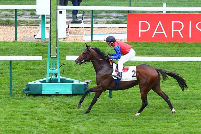 Photo d'arrivée de la course pmu PRIX DU MUSEE DES ARTS DECORATIFS à LONGCHAMP le Dimanche 27 octobre 2019