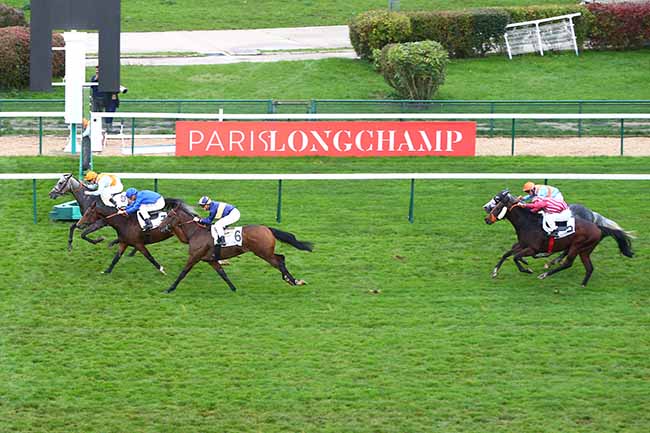 Photo d'arrivée de la course pmu PRIX DU QUAI AUX FLEURS à LONGCHAMP le Dimanche 27 octobre 2019