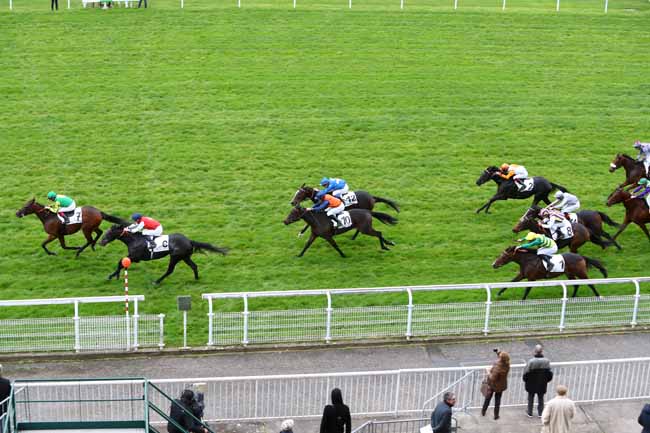 Photo d'arrivée de la course pmu PRIX DE SEINE-ET-OISE à MAISONS-LAFFITTE le Mardi 29 octobre 2019