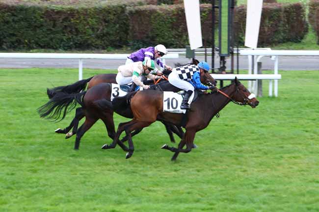Photo d'arrivée de la course pmu PRIX DU CHATEAU DE MAISONS-LAFFITTE à MAISONS-LAFFITTE le Mardi 29 octobre 2019