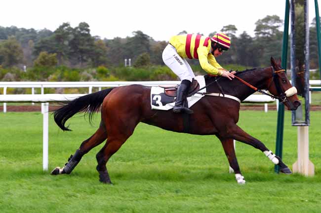 Photo d'arrivée de la course pmu PRIX WWW.COURSESCHEVAUX.FR à FONTAINEBLEAU le Mardi 29 octobre 2019