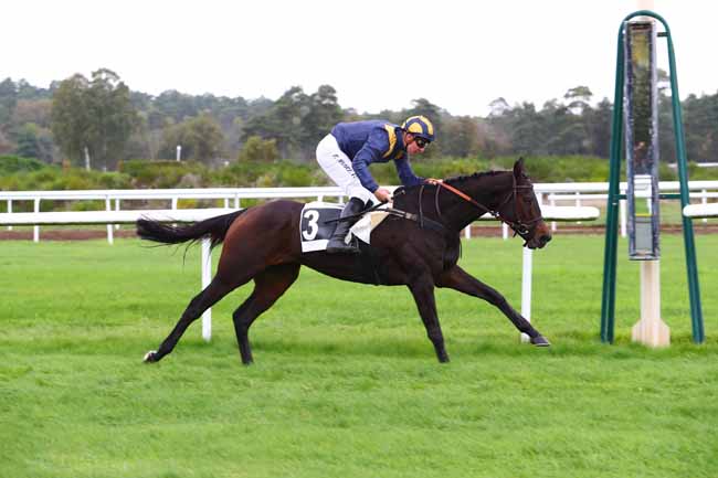 Photo d'arrivée de la course pmu PRIX COLONEL ROBERT LABOUCHE à FONTAINEBLEAU le Mardi 29 octobre 2019