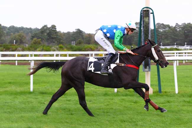 Photo d'arrivée de la course pmu PRIX DE LA CHAMBRE DE COMMERCE ET D'INDUSTRIE DE SEINE ET MARNE à FONTAINEBLEAU le Mardi 29 octobre 2019