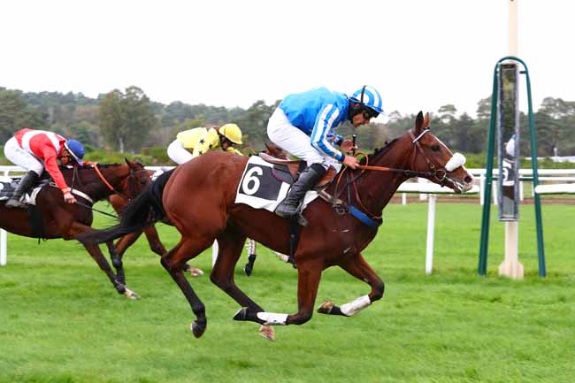 Photo d'arrivée de la course pmu PRIX DU CONSEIL MUNICIPAL DE CHAMPAGNE-SUR-SEINE à FONTAINEBLEAU le Mardi 29 octobre 2019