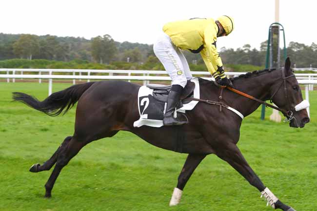 Photo d'arrivée de la course pmu PRIX DU DEBUCHER à FONTAINEBLEAU le Mardi 29 octobre 2019