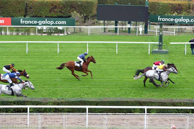 Photo d'arrivée de la course pmu PRIX DE COURTRAI à SAINT-CLOUD le Mercredi 30 octobre 2019