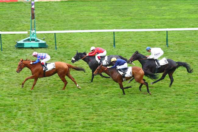 Photo d'arrivée de la course pmu PRIX DU PALAIS DES CONGRES à LONGCHAMP le Jeudi 31 octobre 2019