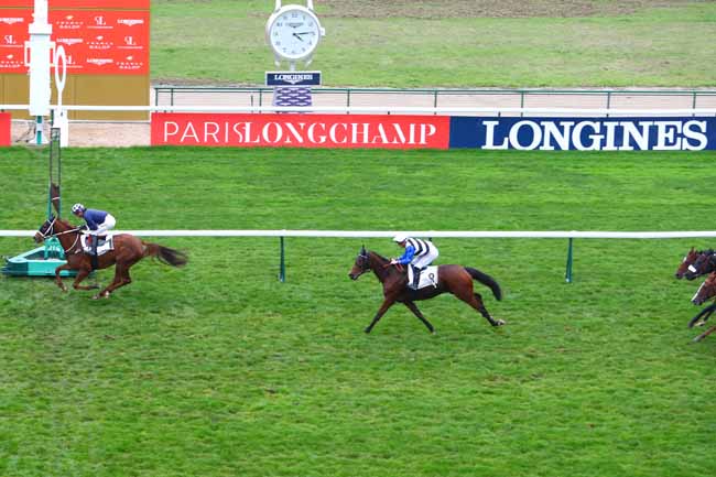 Photo d'arrivée de la course pmu PRIX DE LA MAISON BLANCHE à LONGCHAMP le Jeudi 31 octobre 2019