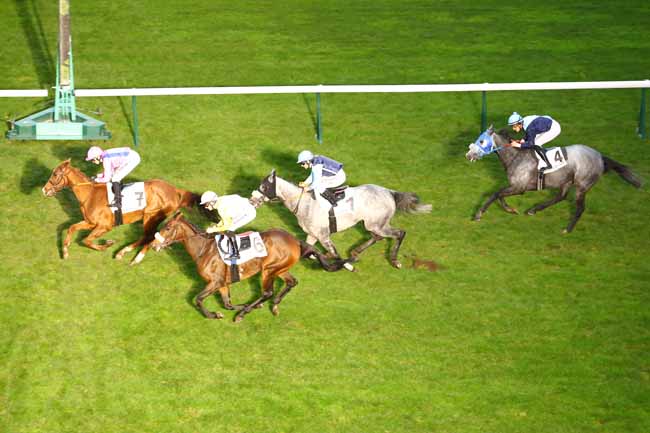 Photo d'arrivée de la course pmu PRIX DE LA ROUTE DES DAMES à LONGCHAMP le Jeudi 31 octobre 2019