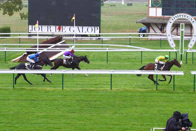 Photo d'arrivée de la course pmu PRIX DOMINIQUE SARTINI à COMPIEGNE le Vendredi 1 novembre 2019