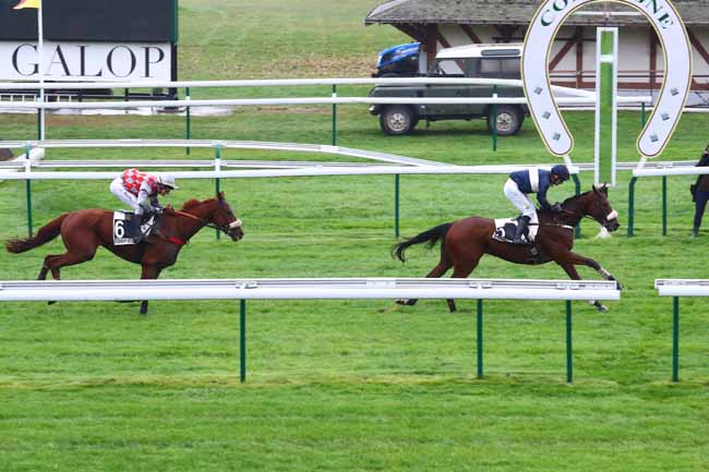 Photo d'arrivée de la course pmu PRIX DE SAINT-RAPHAEL (PREMIER PELOTON) à COMPIEGNE le Vendredi 1 novembre 2019