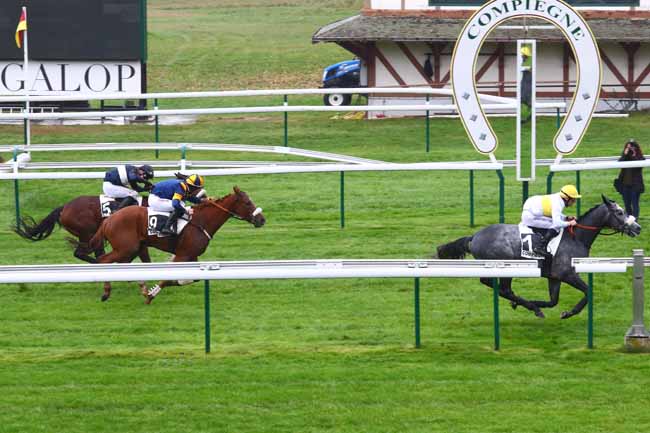 Photo d'arrivée de la course pmu PRIX DE SAINT-RAPHAEL (SECOND PELOTON) à COMPIEGNE le Vendredi 1 novembre 2019