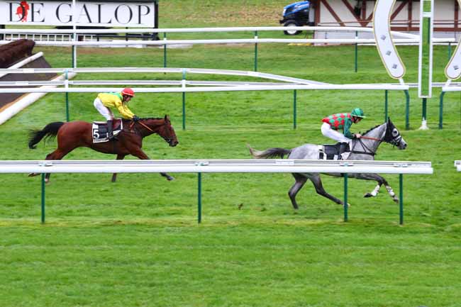 Photo d'arrivée de la course pmu PRIX DE BESANCON à COMPIEGNE le Vendredi 1 novembre 2019