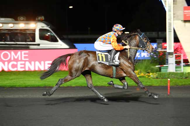 Photo d'arrivée de la course pmu PRIX MENSA à PARIS-VINCENNES le Vendredi 1 novembre 2019