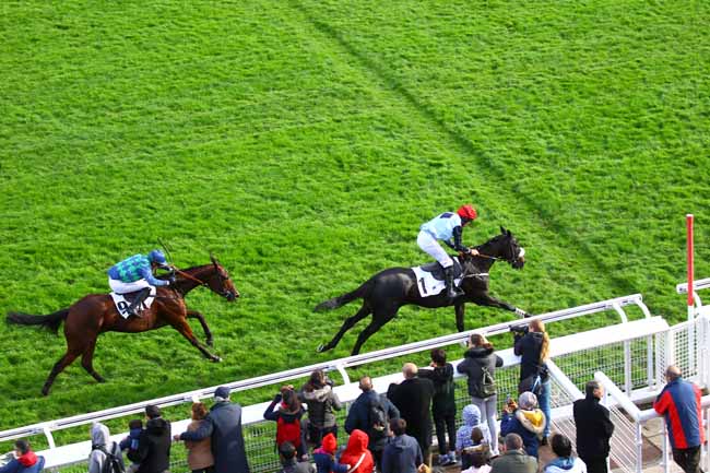 Photo d'arrivée de la course pmu PRIX HARAS D'ETREHAM - PRIX BOURNOSIENNE à AUTEUIL le Samedi 2 novembre 2019
