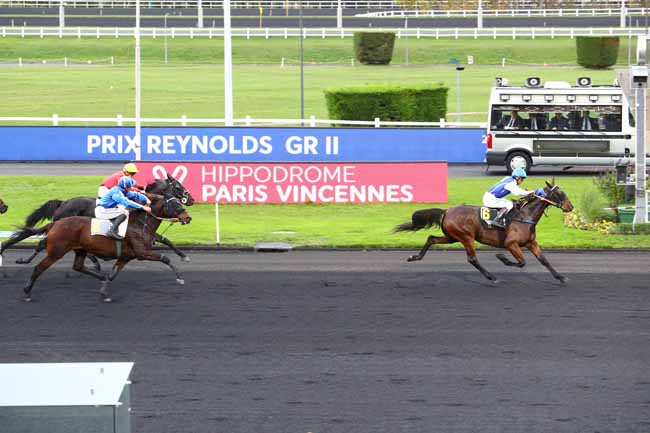 Photo d'arrivée de la course pmu PRIX REYNOLDS à PARIS-VINCENNES le Lundi 4 novembre 2019