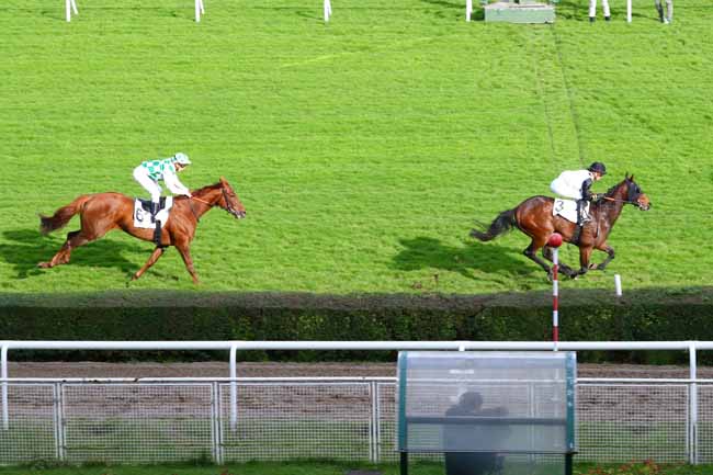 Photo d'arrivée de la course pmu PRIX DE BOIS D'ARCY à SAINT-CLOUD le Mardi 5 novembre 2019