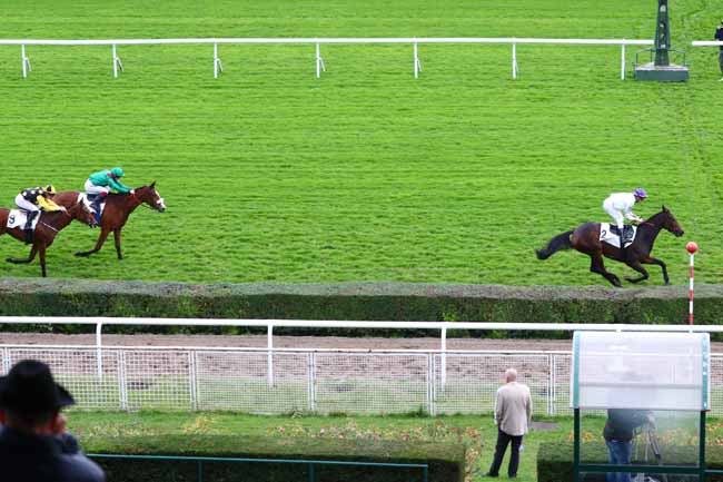 Photo d'arrivée de la course pmu PRIX SOLITUDE à SAINT-CLOUD le Mardi 5 novembre 2019