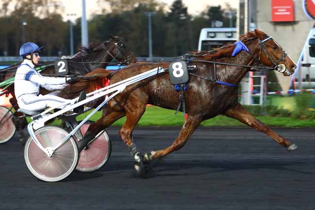 Photo d'arrivée de la course pmu PRIX POMONA à PARIS-VINCENNES le Mardi 5 novembre 2019
