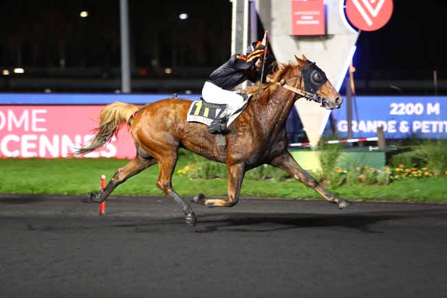 Photo d'arrivée de la course pmu PRIX LACERTA à PARIS-VINCENNES le Mardi 5 novembre 2019