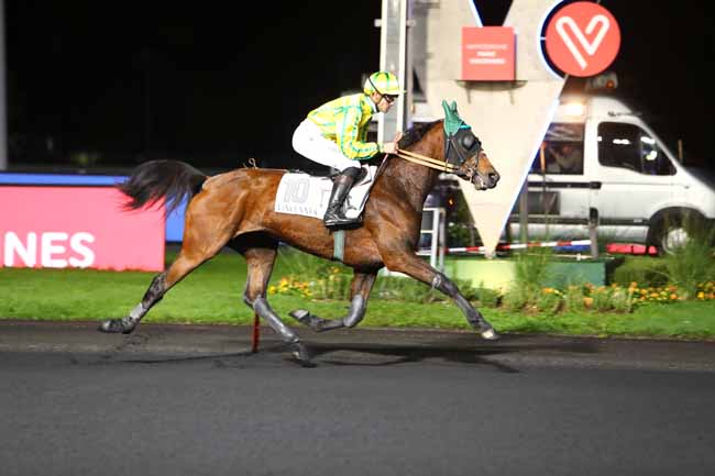 Photo d'arrivée de la course pmu PRIX MERAK à PARIS-VINCENNES le Mardi 5 novembre 2019