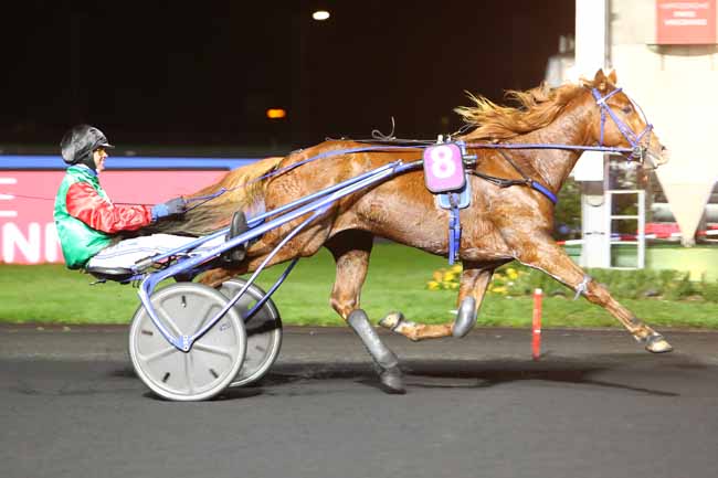 Photo d'arrivée de la course pmu PRIX GEMINUS à PARIS-VINCENNES le Mardi 5 novembre 2019