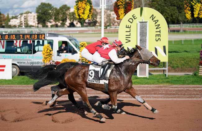 Photo d'arrivée de la course pmu PRIX INSTAGRAM HIPPODROMENANTES à NANTES le Mercredi 6 novembre 2019