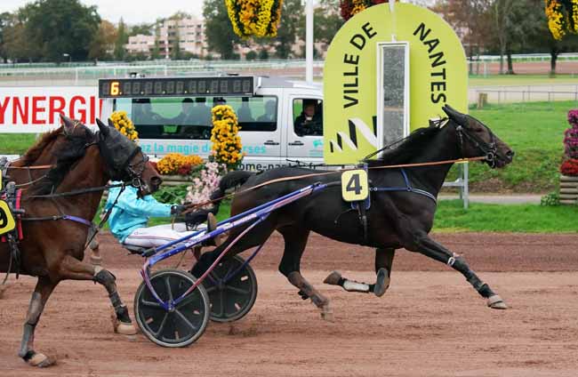 Photo d'arrivée de la course pmu PRIX DU PMU LE SPEAK EASY - GRAND PRIX DES 3 ANS à NANTES le Mercredi 6 novembre 2019