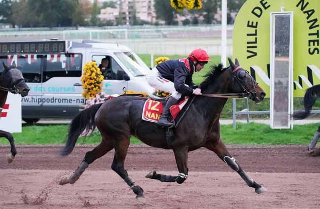 Photo d'arrivée de la course pmu GRAND PRIX SYNERGIE à NANTES le Mercredi 6 novembre 2019