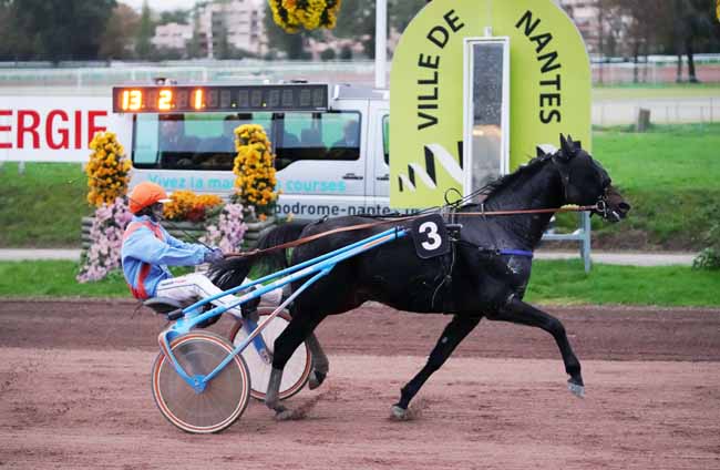 Photo d'arrivée de la course pmu PRIX FACEBOOK HIPPODROME DE NANTES à NANTES le Mercredi 6 novembre 2019