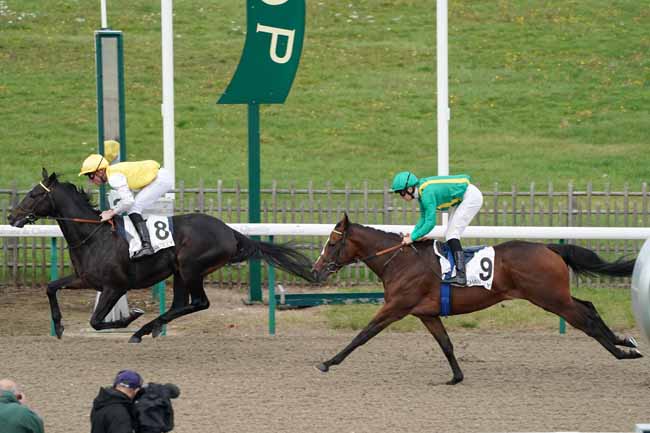 Photo d'arrivée de la course pmu PRIX DE LA CROIX MARQUET à CHANTILLY le Mercredi 6 novembre 2019