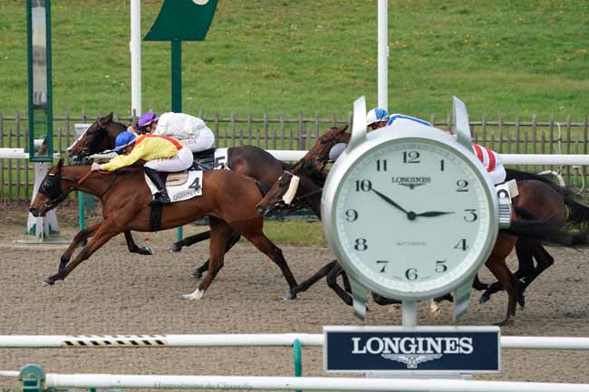 Photo d'arrivée de la course pmu PRIX DE LA BERGERIE à CHANTILLY le Mercredi 6 novembre 2019
