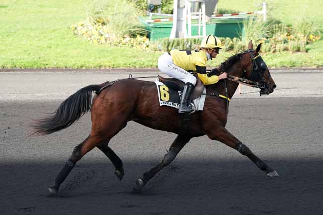 Photo d'arrivée de la course pmu PRIX D'AVESNES à PARIS-VINCENNES le Jeudi 7 novembre 2019