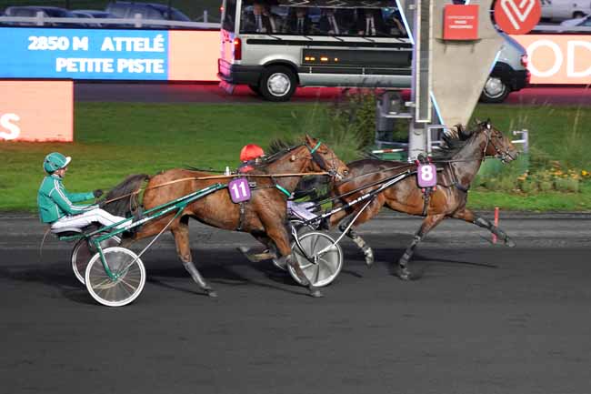Photo d'arrivée de la course pmu PRIX DE BELLE-ILE à PARIS-VINCENNES le Jeudi 7 novembre 2019