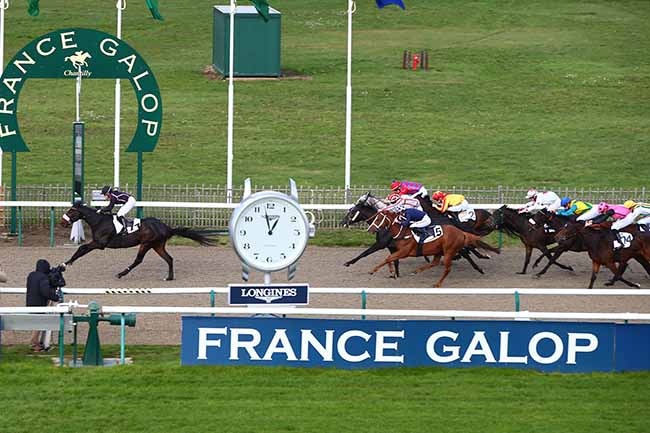 Photo d'arrivée de la course pmu PRIX DES BUTTES à CHANTILLY le Jeudi 7 novembre 2019