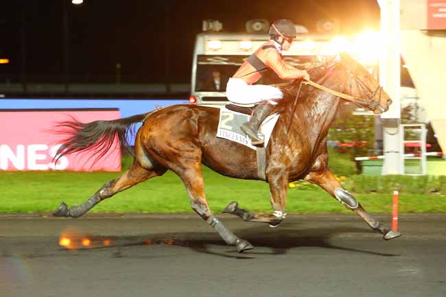Photo d'arrivée de la course pmu PRIX NORMA à PARIS-VINCENNES le Vendredi 8 novembre 2019