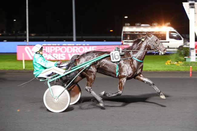 Photo d'arrivée de la course pmu PRIX GEMMA à PARIS-VINCENNES le Vendredi 8 novembre 2019