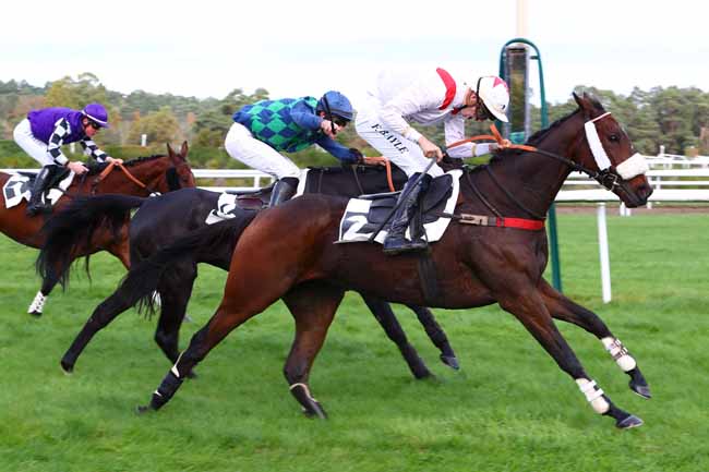Photo d'arrivée de la course pmu PRIX DU THEATRE IMPERIAL DU CHATEAU DE FONTAINBLEAU à FONTAINEBLEAU le Vendredi 8 novembre 2019