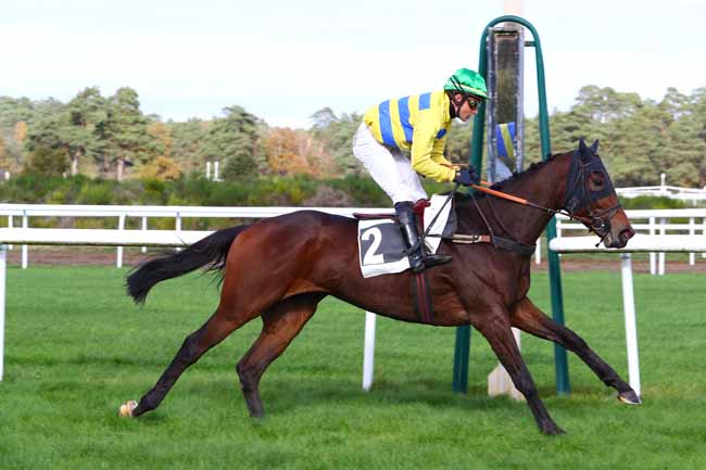 Photo d'arrivée de la course pmu PRIX DE LA ROUTE AMELIE à FONTAINEBLEAU le Vendredi 8 novembre 2019