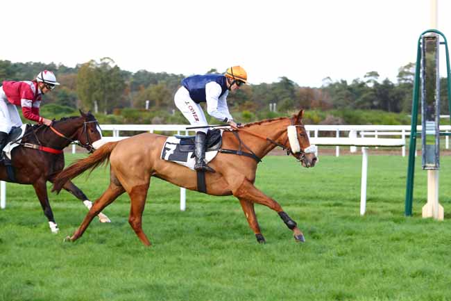 Photo d'arrivée de la course pmu PRIX ANDRE PAROT à FONTAINEBLEAU le Vendredi 8 novembre 2019